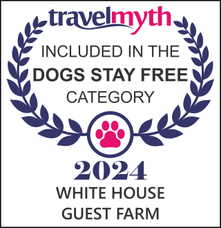 Namibia hotel where dogs stay free